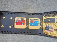 Dome Globe World Heavyweight Championship Belt 3D Replica HQ CNC 5MM Zinc Plates