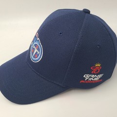 Tennessee Titans Hat Adjustable NFL Blue Budweiser Game Time Football Casual Men