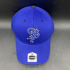 St. Paul Saints Mass Money Maker Snap Back Royal Blue Baseball Hat