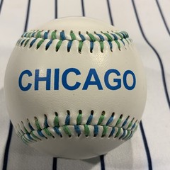 Chicago Illinois Windy City My Kind Of Town White Matte Souvenir Baseball Ball