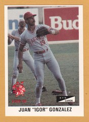 JUAN GONZALEZ CRIOLLOS DE CAGUAS 1989-90 PUERTO RICO #C-8, #042 OF 201