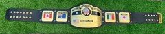 NWA Domed Globe World Heavyweight Wrestling Championship Replica Title 2mm Adult