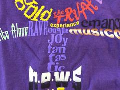 PRINCE MINNESOTA TWINS 2023 SGA Purple T-shirt Adult XL Shirt