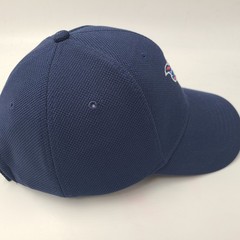Tennessee Titans Hat Adjustable NFL Blue Budweiser Game Time Football Casual Men