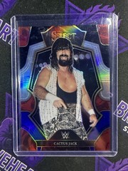 2023 Panini Select WWE Cactus Jack Premier Black & Blue #17/49