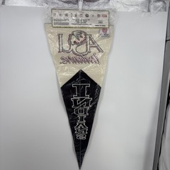 Vintage ASU Indians Felt Pennant by Winning Streak Sports Genuine Wool Blend New