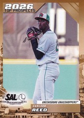 2026 Choice South Atlantic League (SAL) Top Prospects – Pick Your Player