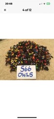 FOR SUBBUTEO/ZEUGO 50 NEW SEATED FANS*All Teams Available*