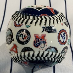 Mexican Baseball League LMB Team Logos Zona Norte Souvenir Baseball Ball