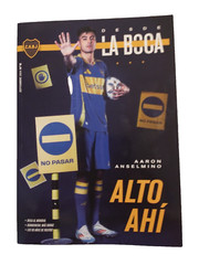 BOCA JUNIORS 19 COLLECTIBLE PLASTIC TICKETS 2 FLAGS 1 MINI SHIRT 4 MAGAZINES +