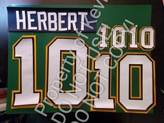 Las Vegas (Any Team/League) Name Number UNSEWN Kit for FOOTBALL Jersey READ DESC
