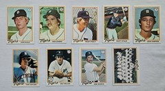 1978 Topps Detroit Tigers Team Set (24 cards) Mostly Near Mint