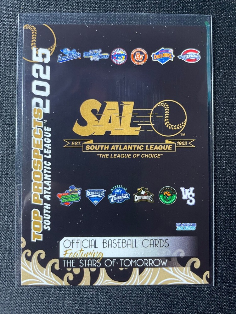 2025 Choice South Atlantic League Top Prospects Team Set You Pick Free Shipping!