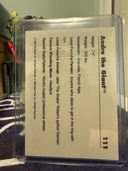 1989 Classic WWF Andre the Giant #111