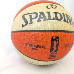 Phoenix Mercury 2016 Team Signed Basketball Spalding WNBA Official Game Ball