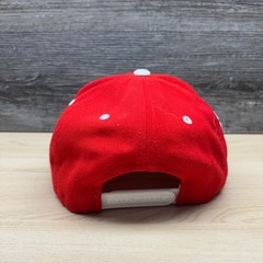 Vintage Wisconsin Badgers Hat Cap Snap Back Red White Bucky NCAA College Madison