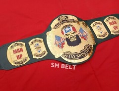Jay Briscoe ROH world Heavyweight Championship Wrestling Title Belt Tribute Belt