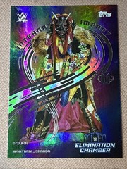 INTERNATIONAL IMPACT 2025 Topps Universe WWE Wrestling You Pick/Choose! READ*