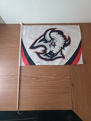 Vintage Buffalo Sabres Mini “Goat Head Logo Flag 17”x12” NHL Hockey with Stick