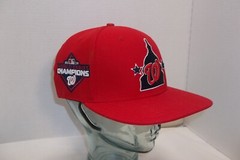 2019 Prostandard Washington Nationals World series winner hat snap back NWT T-8