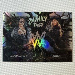 FAMILY TREE 2026 Topps Chrome WWE Wrestling Cards You Pick/Choose! READ*
