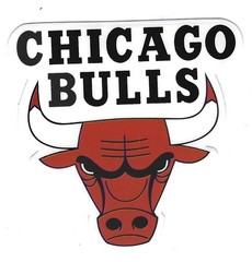 NBA Basketball Vinyl Decal Stickers Outdoor Grade Choose from all 32 Teams