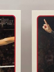 2015 Topps WWE | #55 Nikki Bella & # 12 Brie Bella | 2 Card Lot | Base