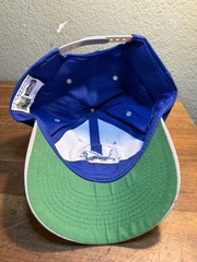 VTG Detroit Lions Snapback Hat Youth Team NFL Blue Gray Green Brim Logo7