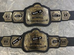 (Pair of 2) Tag Team Wrestling Championship Belt Replica 2mm