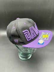 Washington Huskies DAWGS Top of the World Purple Black Snapback Hat