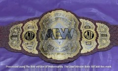 New MJF AEW Wrestling Championship Belt Replica Adult Size Brass