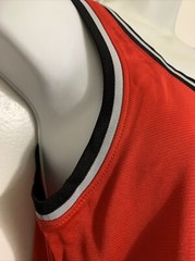 Fanatics Pascal Siakam TORONTO RAPTORS NBA Active Womens JERSEY S R G1N