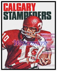 Vintage CFL Calgary Stampeders Color Poster Print 8 X 10 REPRINT Photo Picture