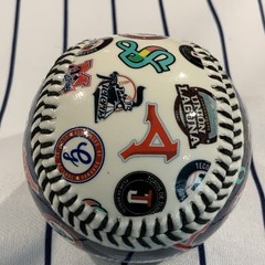 Mexican Baseball League LMB Team Logos Zona Norte Souvenir Baseball Ball