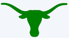 Texas Longhorns Vinyl Decal Sticker – You choose color and size