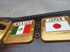 Dome Globe World Heavyweight Championship Belt 3D Replica HQ CNC 5MM Zinc Plates