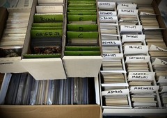 Baseball Card Team Grab Bag | 25-30 Cards | Pick Your Team | Buy 1, Get 1 FREE