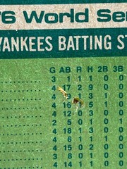 1977 Topps Johnny Bench 1976 World Series #412 Reds/Yankees *READ*
