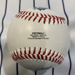 Atlantic League ALPB TEAM LOGOS DEFUNCT Souvenir baseball collectible ball V2