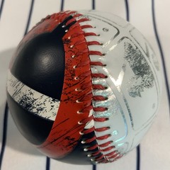Minnesota Twins 2014 Team Store Exclusive Souvenir Baseball Ball