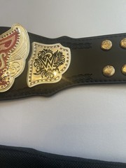 Rare WWE Divas Championship Mini Replica Title Belt Authentic WWF Womens + Cover