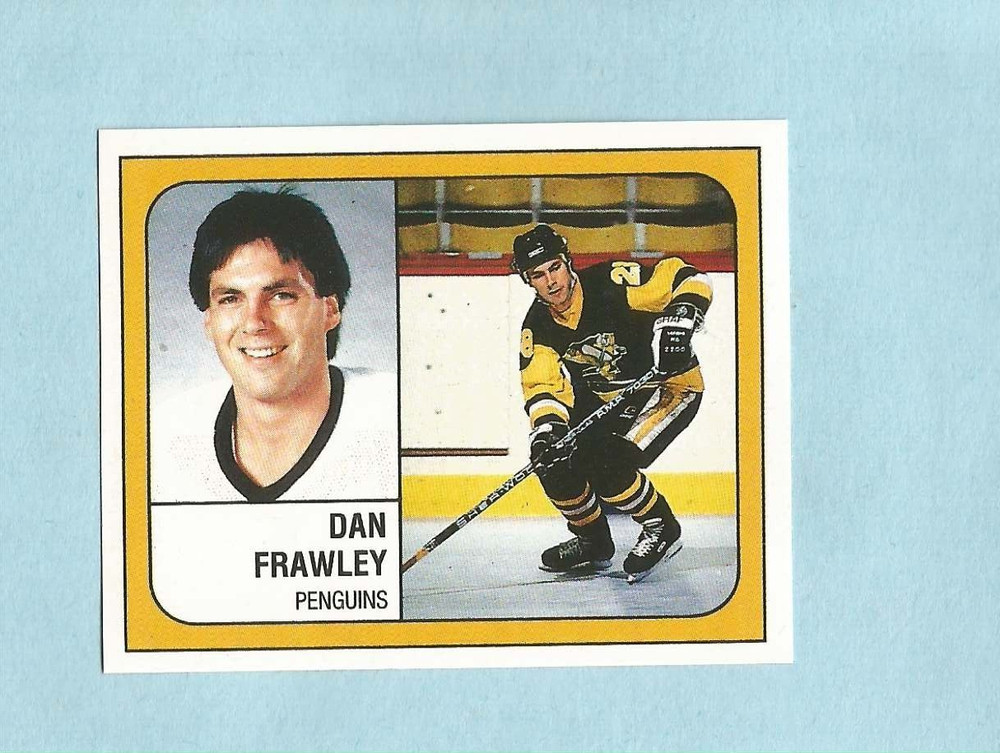 1988-89 Panini NHL Hockey Sticker Dan Frawley #338 Pittsburgh Penguins
