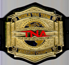 TNA 2010 WORLD TAG TEAM HEAVYWEIGHT CHAMPION WRESTLING REPLICA BELT 2MM BRASS
