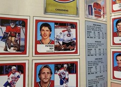 1988-89 Panini Stickers Album Hockey NHL Complete Set BEAUTIFUL CONDITION NM MT