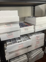 300+ Basketball Cards Bulk Lot Rookies Inserts Base Random Collection🏀🏀🏀