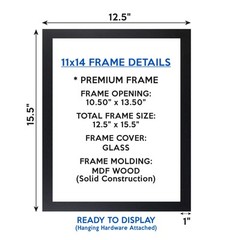 compare to MERCURY MORRIS Football Photo Picture / 8×10 11×14 or 16×20 (JZ)