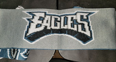 Philadelphia Eagles Scarf Knit Winter Neck Double Sided Big Team Logo Green