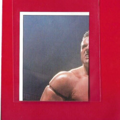 1997 Panini WWF Superstars BRITISH BULLDOG Album Sticker, Titan Sports Inc. #92