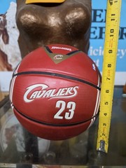 Spalding NBA Cleveland Cavaliers Lebron James Arena Exclusive Jersey Basketball