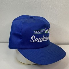 Vintage Seattle Seahawks Snapback Hat 90s NFL Annco Football Script